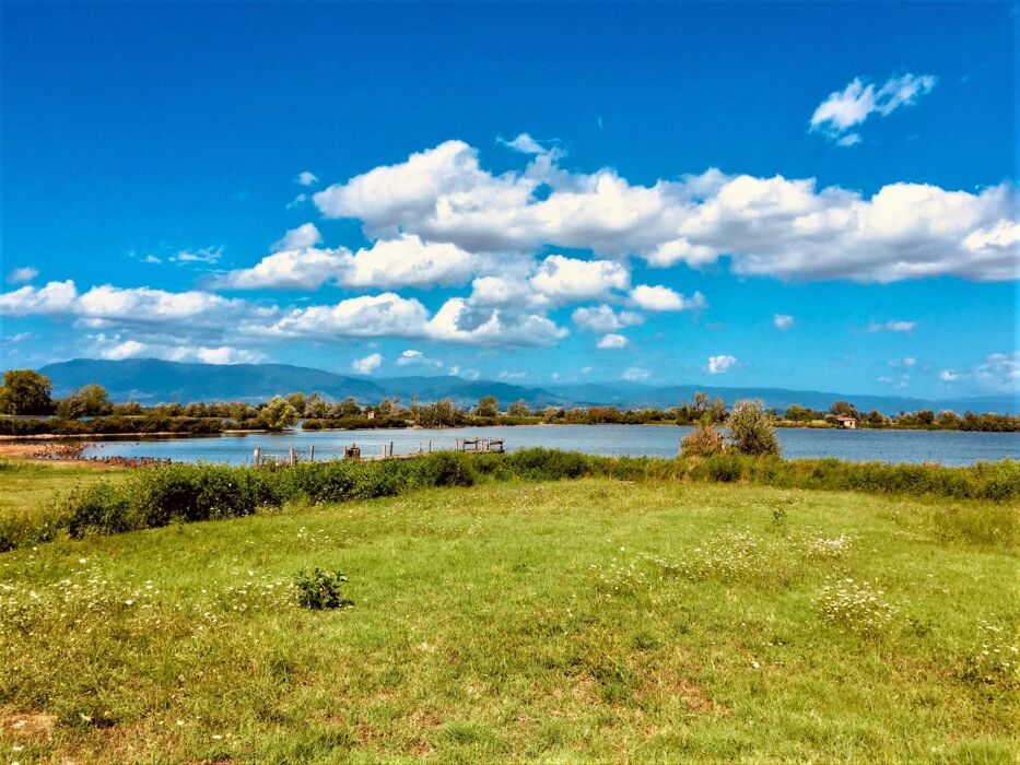 Escursione tra il Lago della Gherardesca e la Ferrovia Lucca-Pontedera Escursione tra il Lago della Gherardesca e la Ferrovia Lucca-Pontedera desktop picture