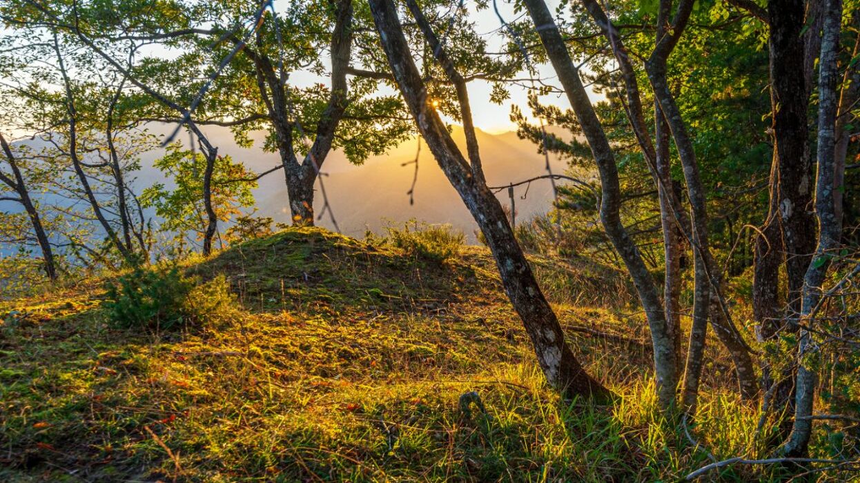 La Foresta di Campigna nel Parco Nazionale del Casentino La Foresta di Campigna nel Parco Nazionale del Casentino desktop picture