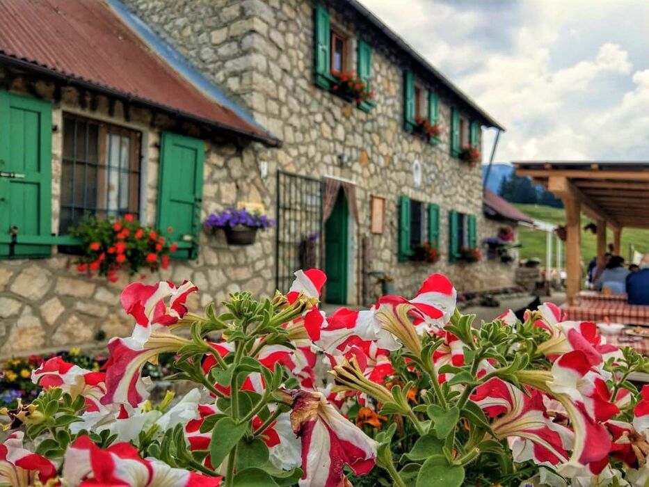 Trekking sull'Altopiano dei Sette Comuni Trekking sull'Altopiano dei Sette Comuni desktop picture