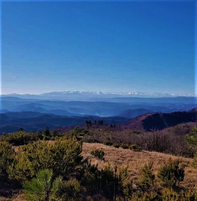 L’Anello di Bandita: I Dolci Sentieri tra il Rio Meri e il Bric dei Gorrei - POMERIGGIO L’Anello di Bandita: I Dolci Sentieri tra il Rio Meri e il Bric dei Gorrei - POMERIGGIO desktop picture
