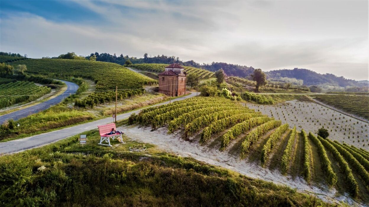 Il Giro della Vite e la Big Bench Rosa - POMERIGGIO Il Giro della Vite e la Big Bench Rosa - POMERIGGIO desktop picture