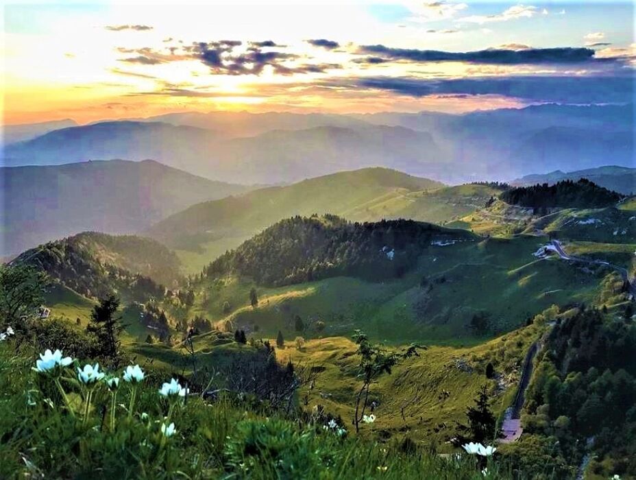 Il Monte Grappa: Escursione Serale per Avvistare i Camosci Il Monte Grappa: Escursione Serale per Avvistare i Camosci desktop picture