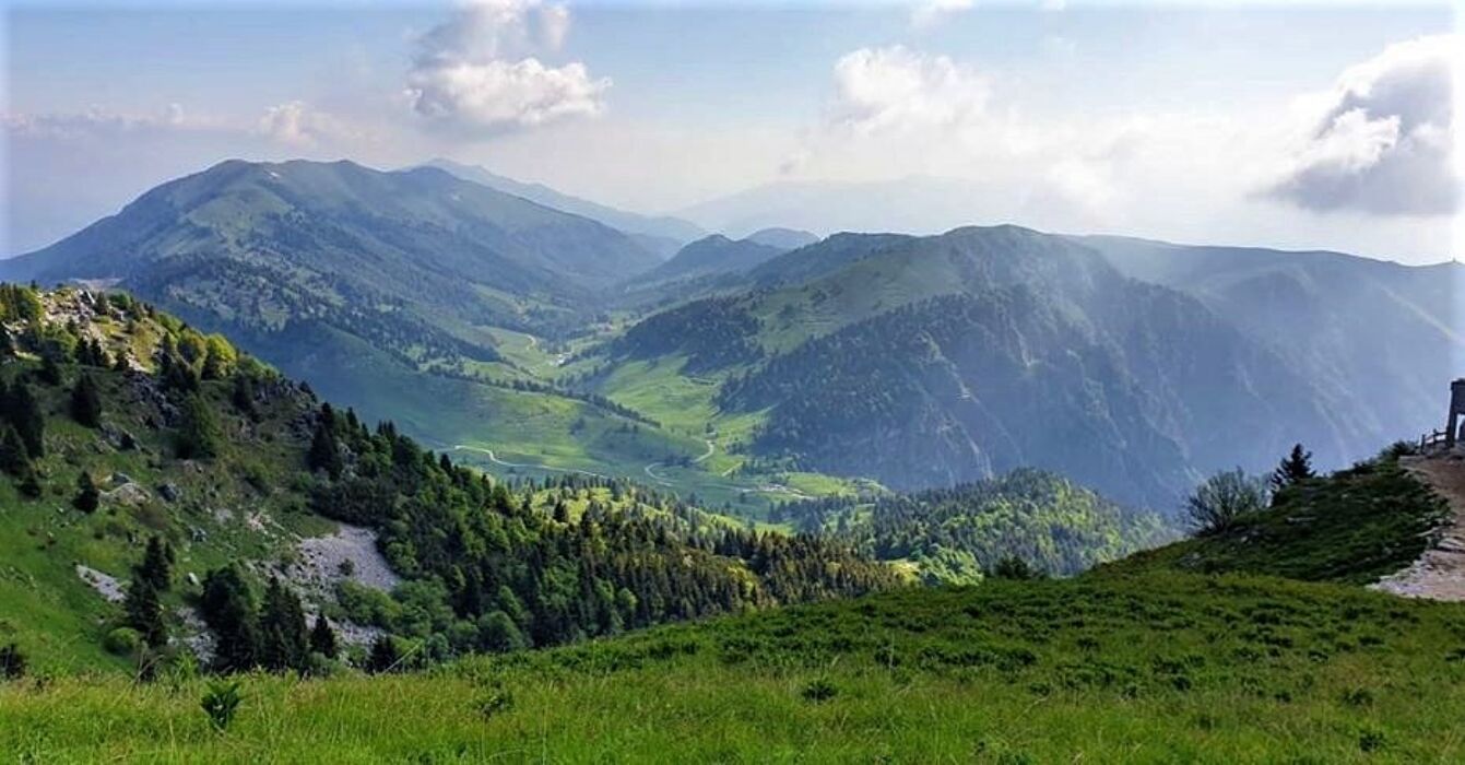 Il Monte Grappa: Escursione Serale per Avvistare i Camosci Il Monte Grappa: Escursione Serale per Avvistare i Camosci desktop picture