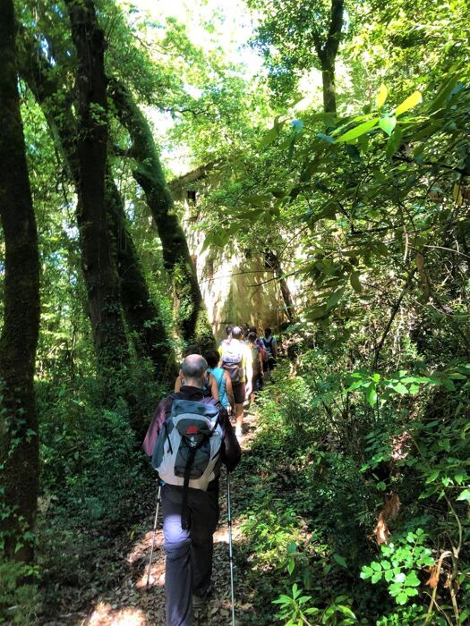 Una Camminata nella Storia: La Stamperia Clandestina del Fodo Una Camminata nella Storia: La Stamperia Clandestina del Fodo desktop picture