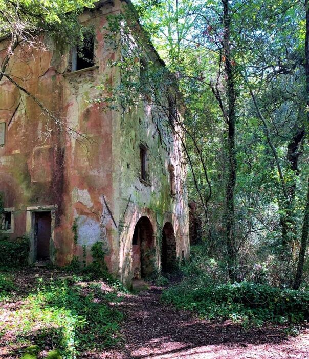Una Camminata nella Storia: La Stamperia Clandestina del Fodo Una Camminata nella Storia: La Stamperia Clandestina del Fodo desktop picture
