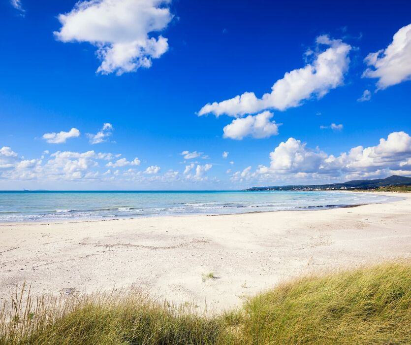 Alla Scoperta della Toscana Rurale: Tra Mare e Antiche Borgate Alla Scoperta della Toscana Rurale: Tra Mare e Antiche Borgate desktop picture