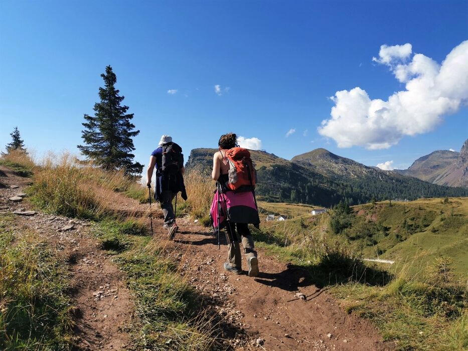 Escursione tra i Superbi Panorami delle Pale di San Martino Escursione tra i Superbi Panorami delle Pale di San Martino desktop picture