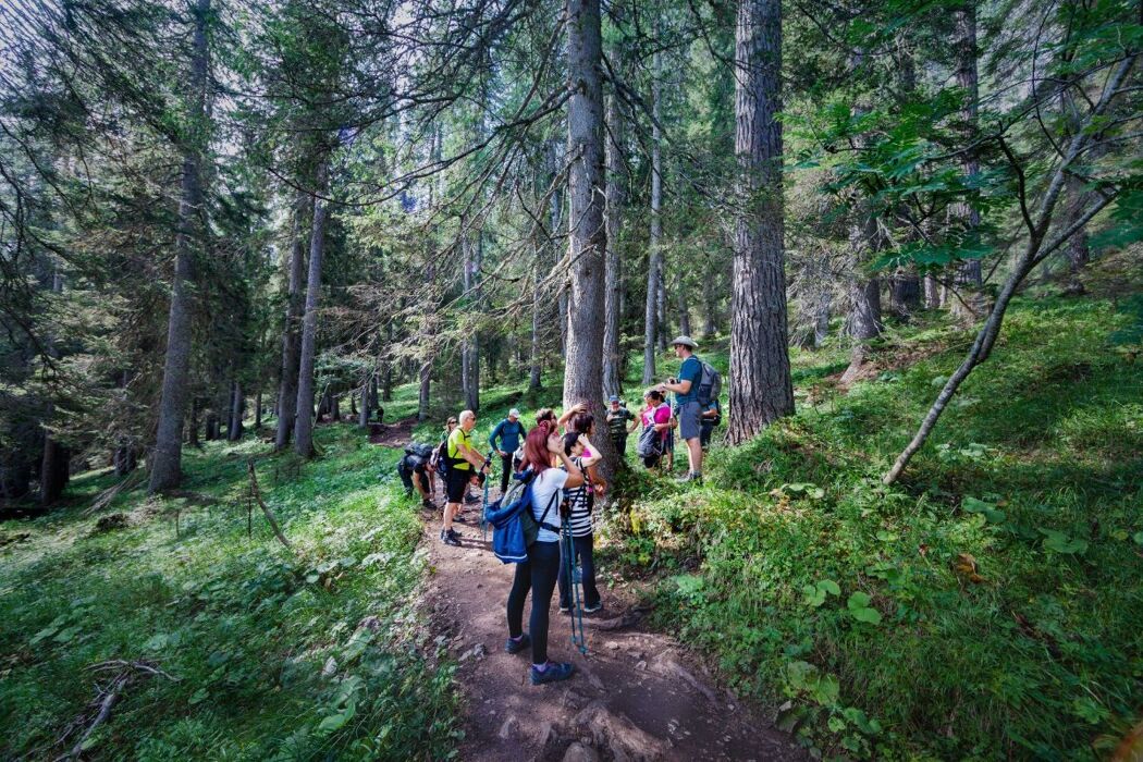 Trekking al Lago di Sorapis: specchio d'acqua dipinto nelle Dolomiti Trekking al Lago di Sorapis: specchio d'acqua dipinto nelle Dolomiti desktop picture
