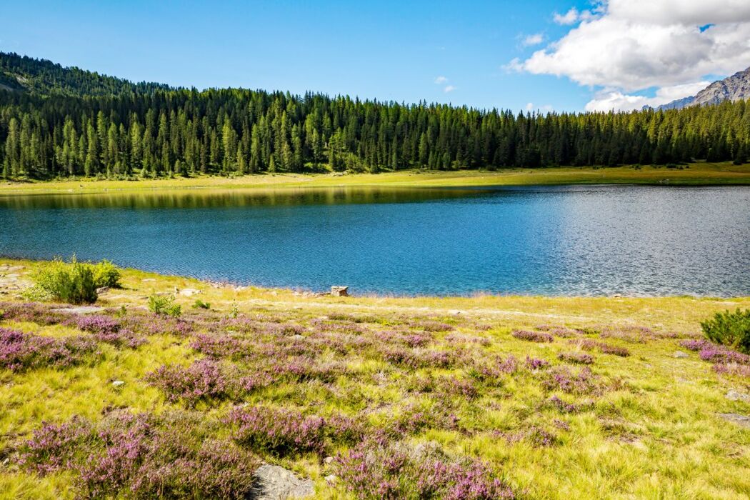 Escursione al Lago Palù: Immersi negli scenari della Valmalenco Escursione al Lago Palù: Immersi negli scenari della Valmalenco desktop picture
