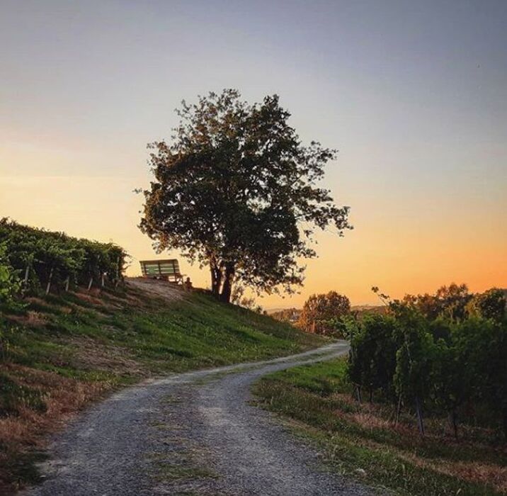 Big Bench Verde: Escursione con Vista sul Monferrato Big Bench Verde: Escursione con Vista sul Monferrato desktop picture