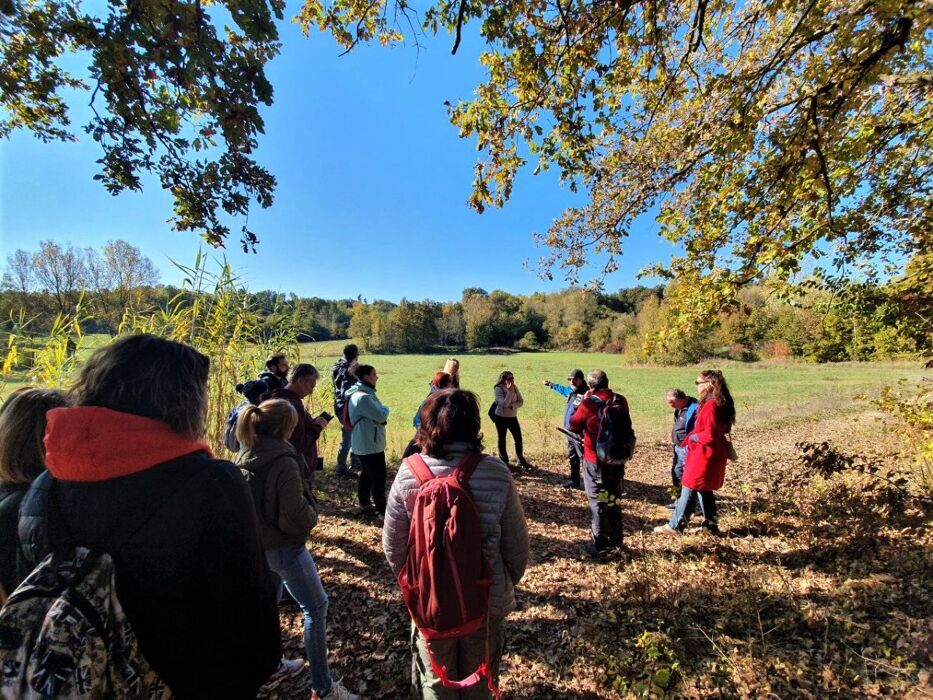 Il Fascino di Fubine: Camminata tra gli Spalti e gli Infernot Il Fascino di Fubine: Camminata tra gli Spalti e gli Infernot desktop picture