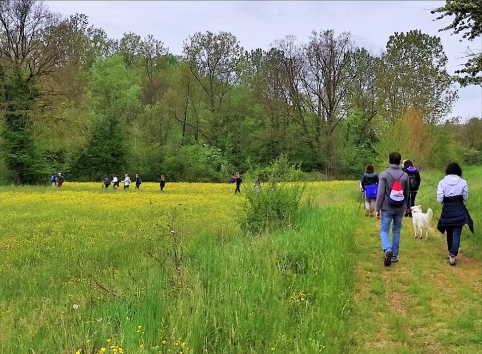 Il Fascino di Fubine: Camminata tra gli Spalti e gli Infernot Il Fascino di Fubine: Camminata tra gli Spalti e gli Infernot desktop picture