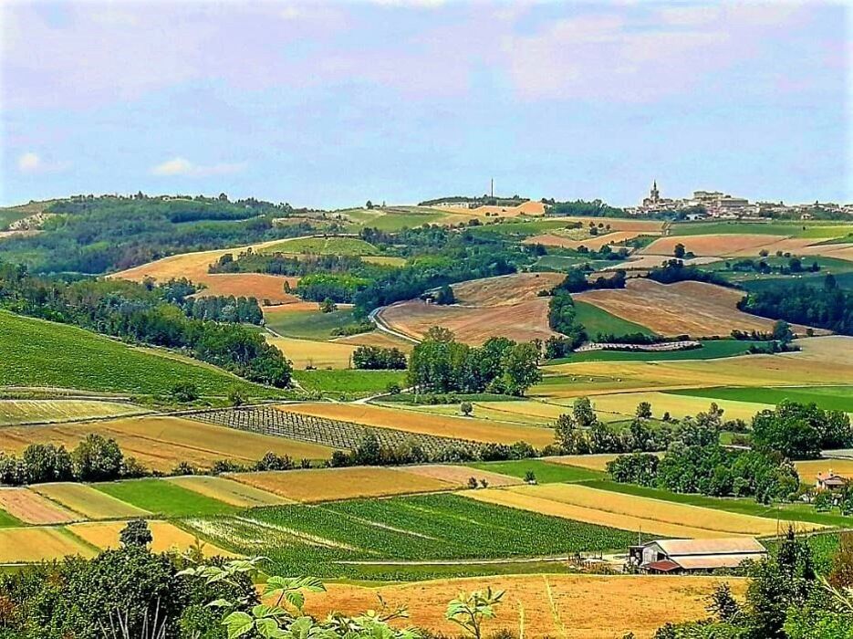 Colli di Monferrato: Tra Storia e Natura nelle Alture Piemontesi - POMERIGGIO Colli di Monferrato: Tra Storia e Natura nelle Alture Piemontesi - POMERIGGIO desktop picture