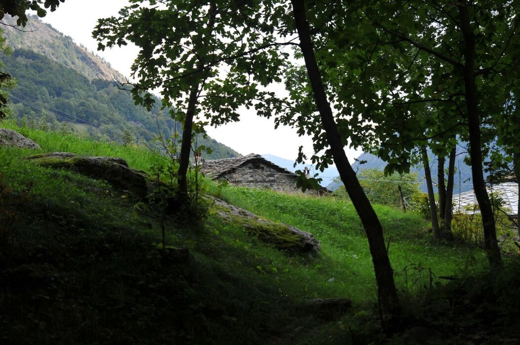 Escursione al Chiaro di Luna: Pian Fe e Pian Sarpeis Escursione al Chiaro di Luna: Pian Fe e Pian Sarpeis desktop picture