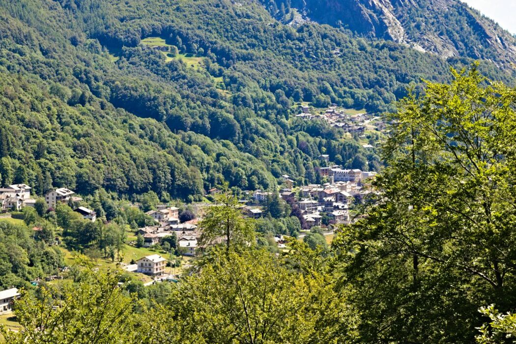 Escursione al Chiaro di Luna: Pian Fe e Pian Sarpeis Escursione al Chiaro di Luna: Pian Fe e Pian Sarpeis desktop picture