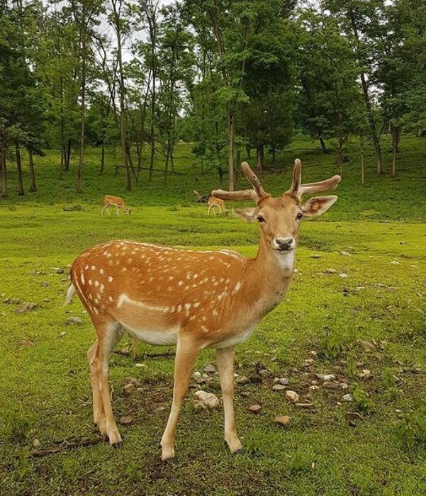 Gli Affascinanti Sentieri dell'Oasi Naturale del Parco degli Aironi Gli Affascinanti Sentieri dell'Oasi Naturale del Parco degli Aironi desktop picture