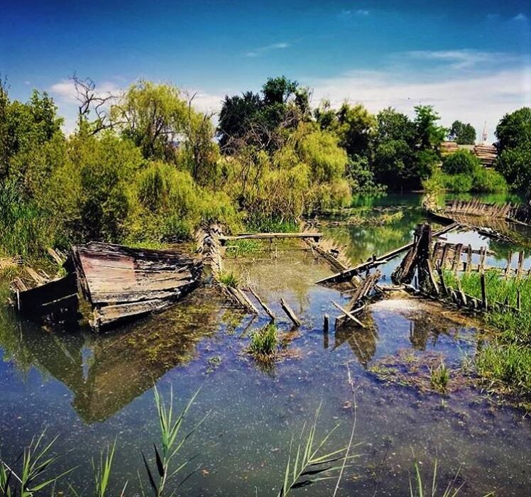 Una Dolce Passeggiata nel Parco Naturale del Fiume Sile - MATTINA Una Dolce Passeggiata nel Parco Naturale del Fiume Sile - MATTINA desktop picture