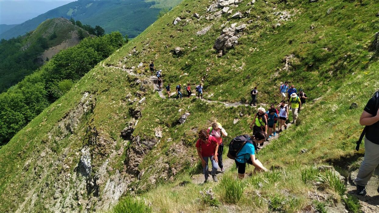 Le Cascate del Doccione: Trekking Sensoriale ai Piedi del Crinale - POMERIGGIO Le Cascate del Doccione: Trekking Sensoriale ai Piedi del Crinale - POMERIGGIO desktop picture