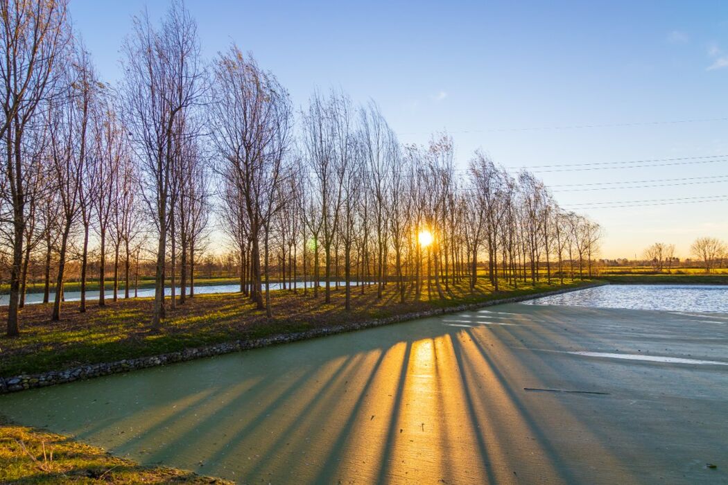 Un Dolce Tour nella Valle dei Monaci: Dal Parco della Vettabbia a Chiaravalle Un Dolce Tour nella Valle dei Monaci: Dal Parco della Vettabbia a Chiaravalle desktop picture