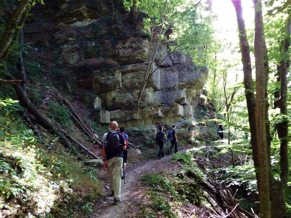 Trekking con Picnic: Badia Moscheta e le Cascate del Rio Rovigo Trekking con Picnic: Badia Moscheta e le Cascate del Rio Rovigo desktop picture