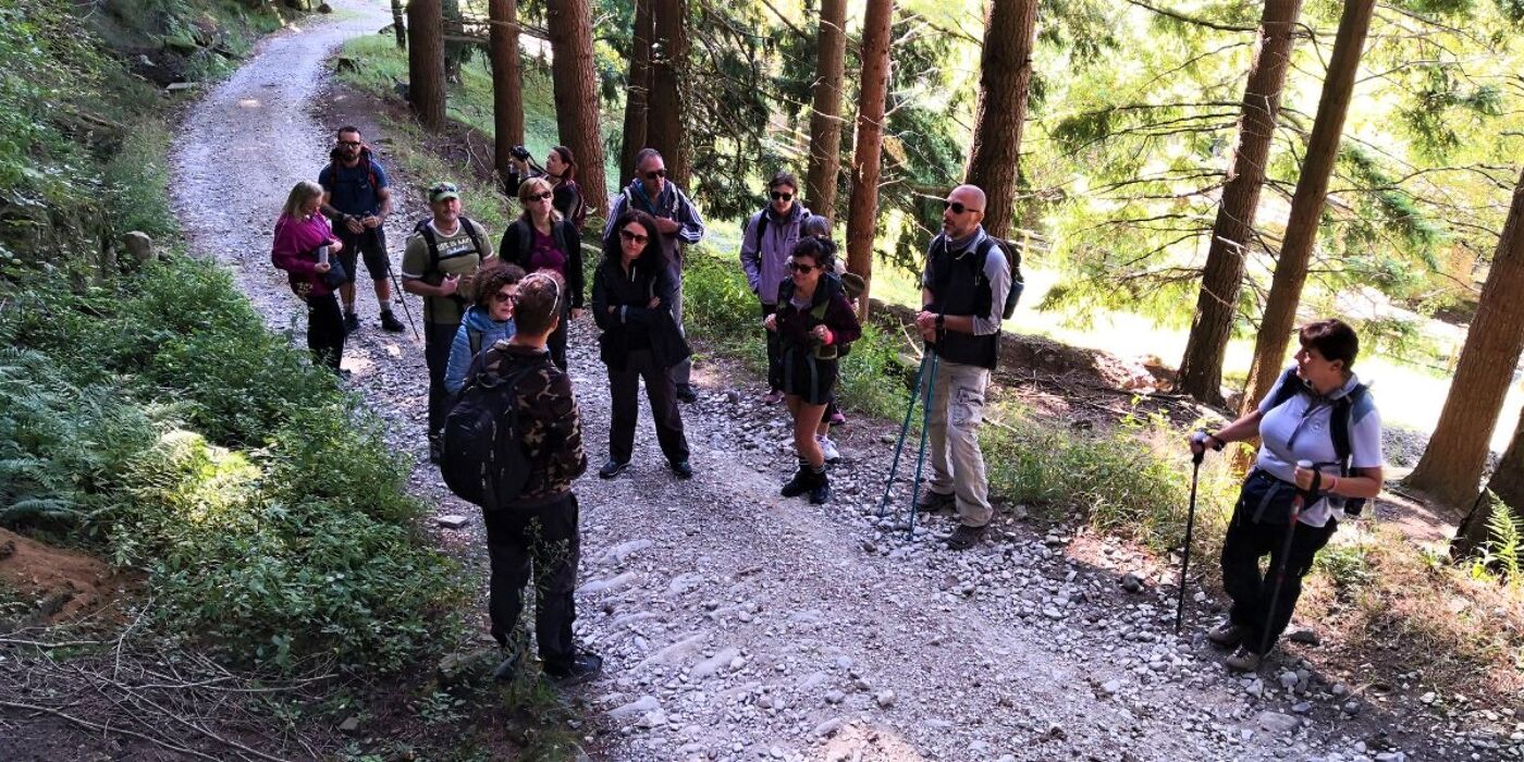 Trekking con Picnic: Badia Moscheta e le Cascate del Rio Rovigo Trekking con Picnic: Badia Moscheta e le Cascate del Rio Rovigo desktop picture