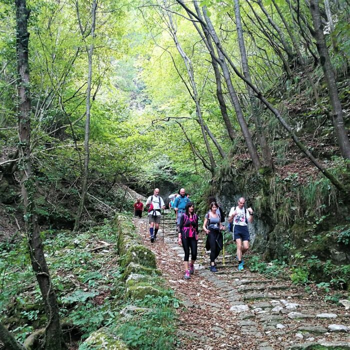 I 4444 Scalini: un percorso tra racconti e leggende I 4444 Scalini: un percorso tra racconti e leggende desktop picture