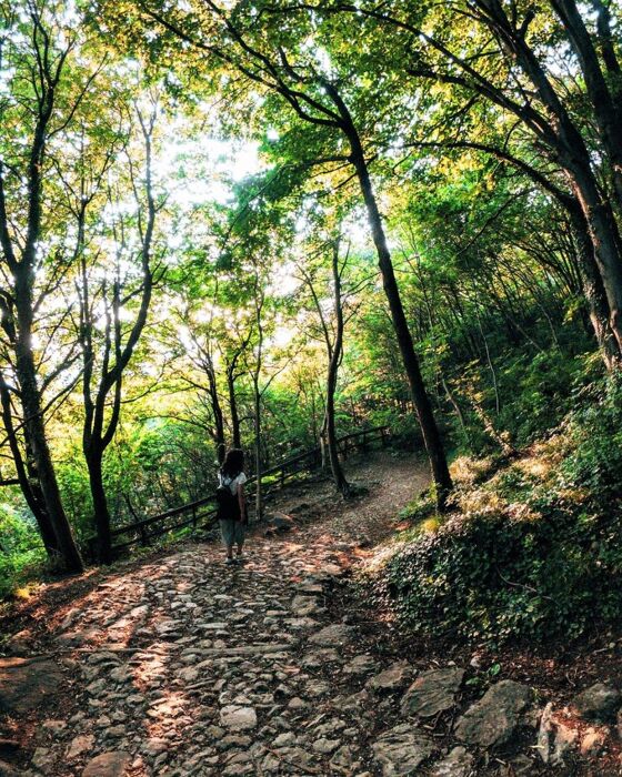 Tra Lecco e il Monte Barro: Passeggiata Sensoriale sul Lago di Como Tra Lecco e il Monte Barro: Passeggiata Sensoriale sul Lago di Como desktop picture