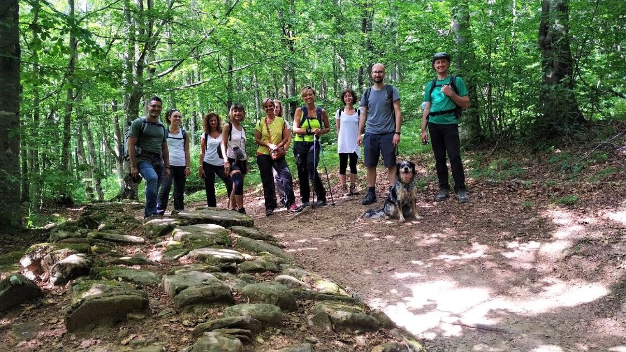 La Via degli Dei: Una Camminata nella Storia - POMERIGGIO La Via degli Dei: Una Camminata nella Storia - POMERIGGIO desktop picture