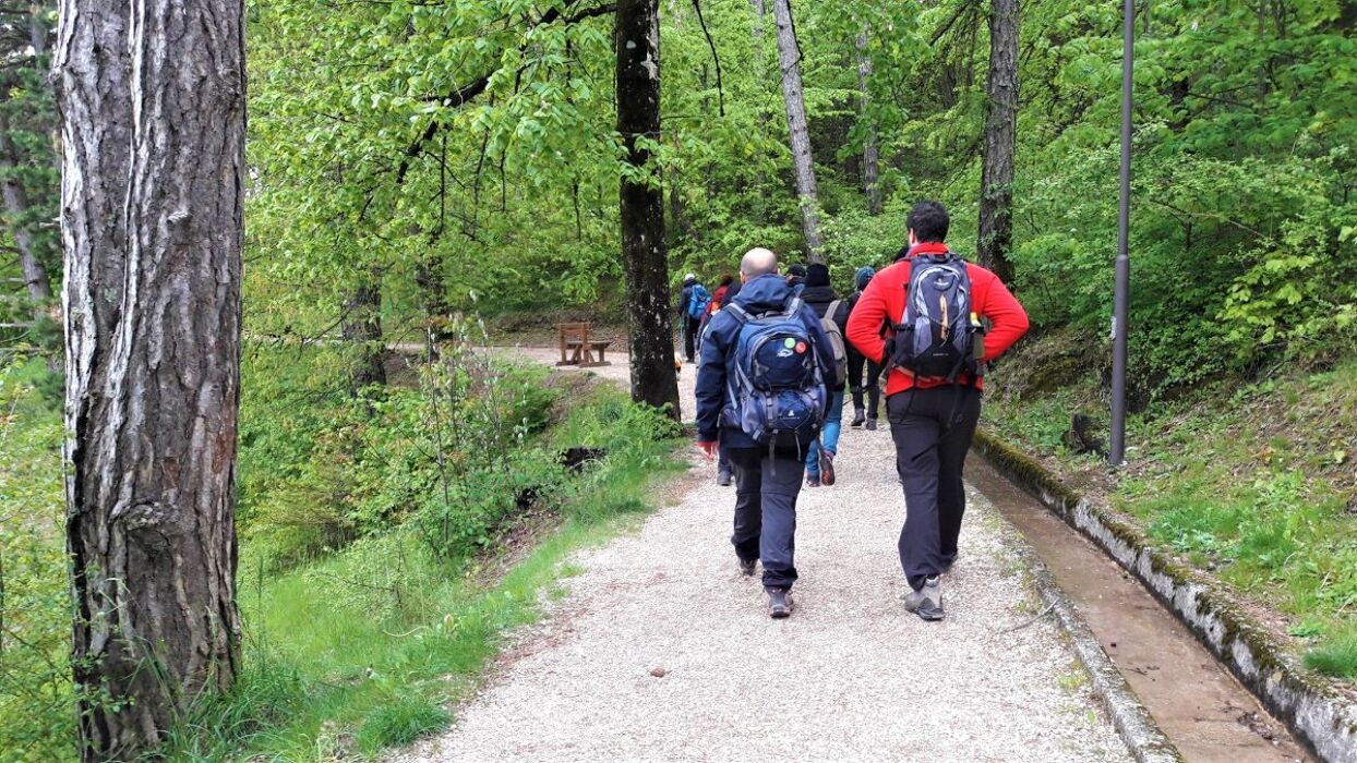 Escursione alla Scoperta del Santuario di San Romedio, I Laghi di Coredo e Tavon Escursione alla Scoperta del Santuario di San Romedio, I Laghi di Coredo e Tavon desktop picture