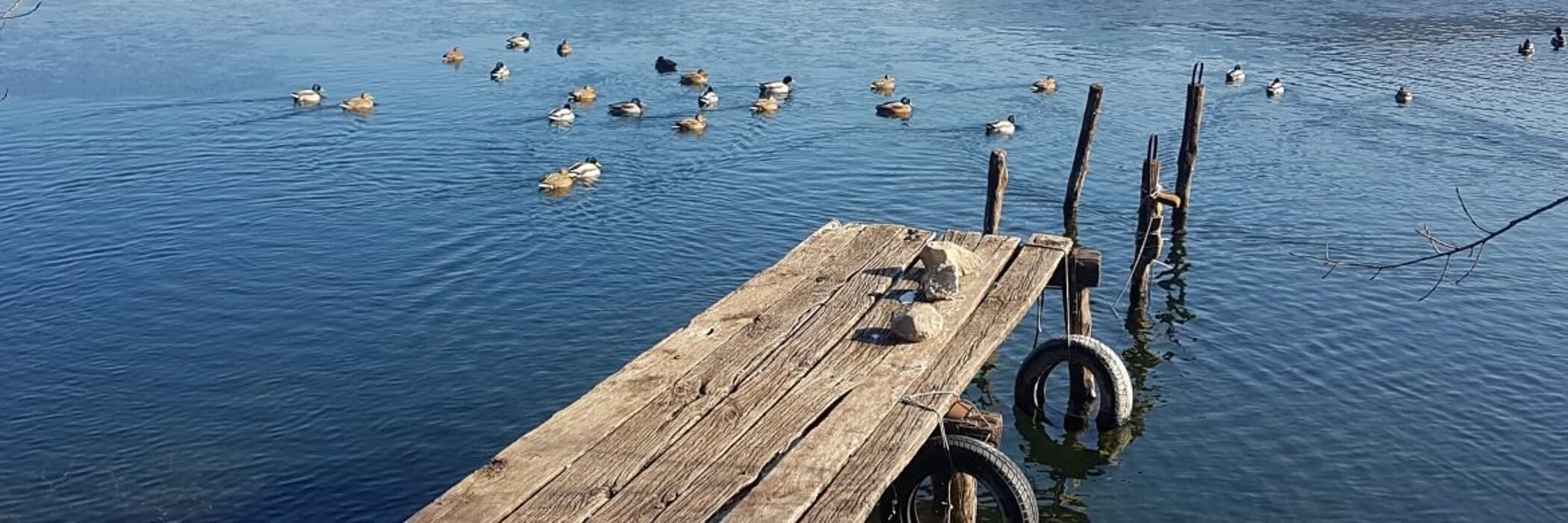🎃Un Audace Tour in Sella: Laghi di Revine e di Santa Maria🎃 🎃Un Audace Tour in Sella: Laghi di Revine e di Santa Maria🎃 desktop picture
