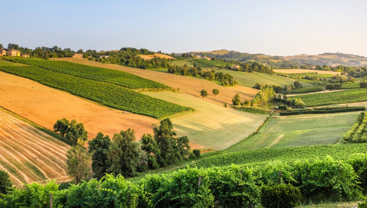 Notte di San Lorenzo: Passeggiata con picnic al lume di candela Notte di San Lorenzo: Passeggiata con picnic al lume di candela desktop picture