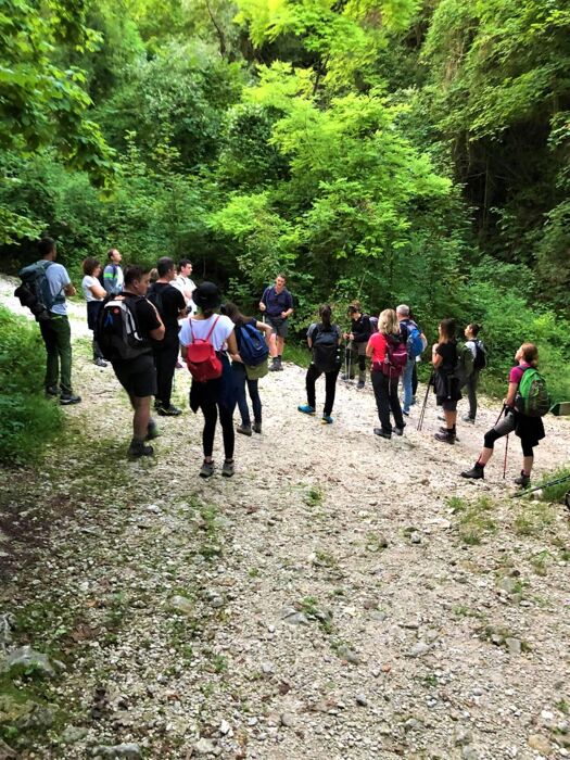 Notte di San Lorenzo: Trekking all'Osservatorio sul Monte Grappa Notte di San Lorenzo: Trekking all'Osservatorio sul Monte Grappa desktop picture