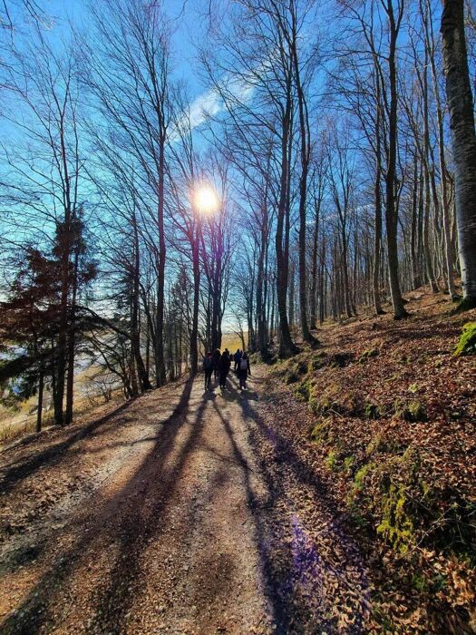 Trekking nella Valle delle Sfingi: I Labirinti di Pietra in Lessinia Trekking nella Valle delle Sfingi: I Labirinti di Pietra in Lessinia desktop picture