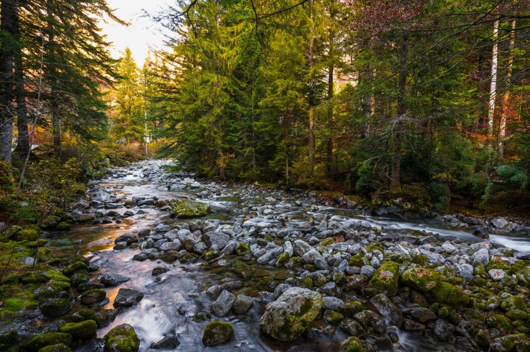 Bagni di Masino: I Fiabeschi Sentieri sulle Orme del Gigiat Bagni di Masino: I Fiabeschi Sentieri sulle Orme del Gigiat desktop picture