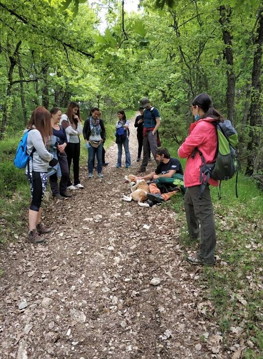 Passeggiata a Varzi: il borgo medievale dell'Oltrepò Pavese Passeggiata a Varzi: il borgo medievale dell'Oltrepò Pavese desktop picture