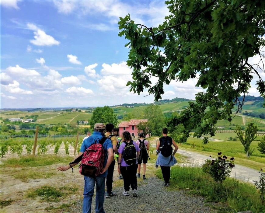 Camminata dalle cinte murarie di Fontanile alla Big Bench Verde Camminata dalle cinte murarie di Fontanile alla Big Bench Verde desktop picture