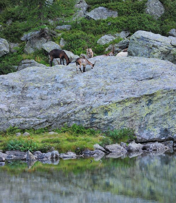 Lago di Afframont, Oasi Cristallina in un Anfiteatro Roccioso Lago di Afframont, Oasi Cristallina in un Anfiteatro Roccioso desktop picture