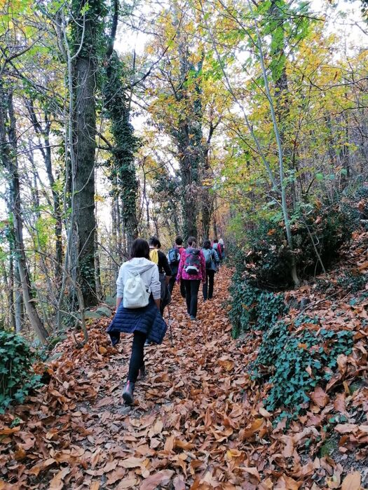 Trekking Euganeo sui Monti Altore e Comun Trekking Euganeo sui Monti Altore e Comun desktop picture