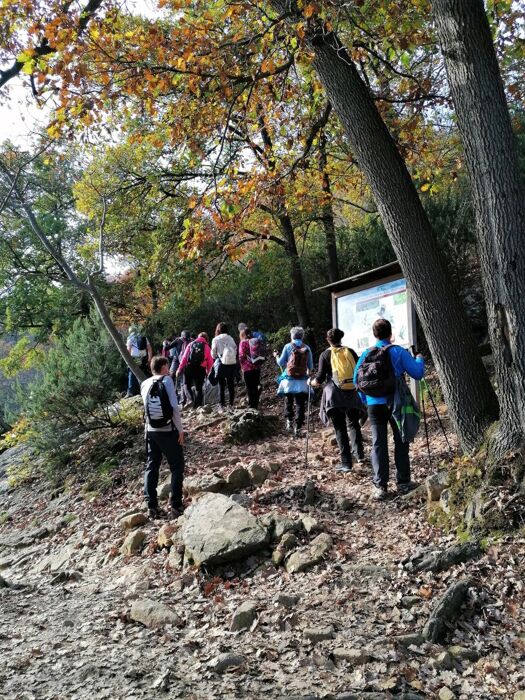 Trekking Euganeo sui Monti Altore e Comun Trekking Euganeo sui Monti Altore e Comun desktop picture