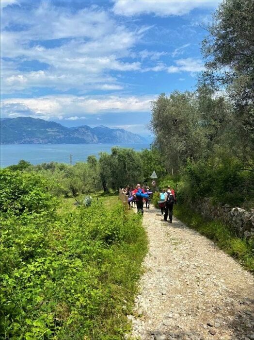 Hatha Yoga e Passeggiata sul Ponte Tibetano di Crero Hatha Yoga e Passeggiata sul Ponte Tibetano di Crero desktop picture