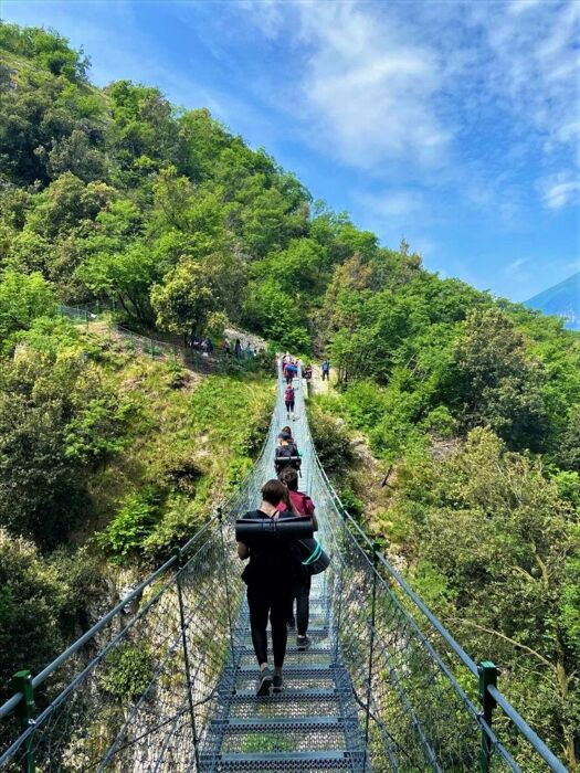 Hatha Yoga e Passeggiata sul Ponte Tibetano di Crero Hatha Yoga e Passeggiata sul Ponte Tibetano di Crero desktop picture