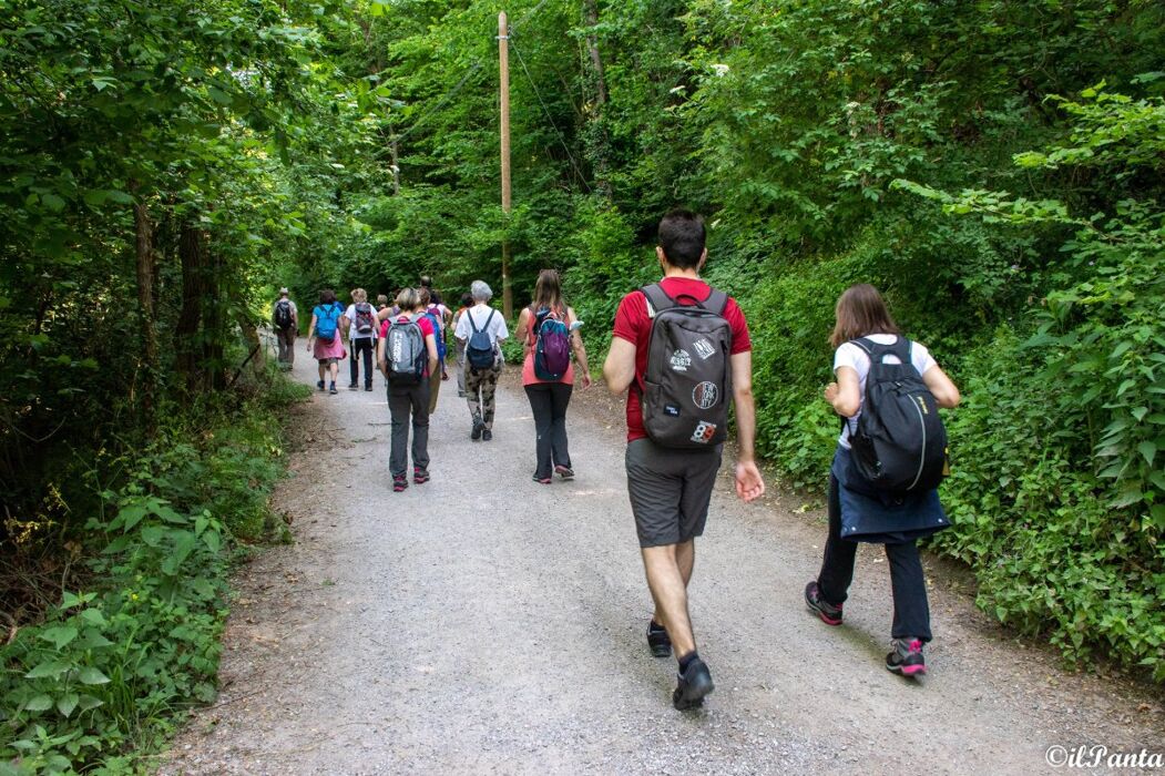 Camminata nella Biodiversità: la Riserva Naturale Fontana del Guercio Camminata nella Biodiversità: la Riserva Naturale Fontana del Guercio desktop picture