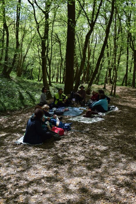 Camminata nella Biodiversità: la Riserva Naturale Fontana del Guercio Camminata nella Biodiversità: la Riserva Naturale Fontana del Guercio desktop picture