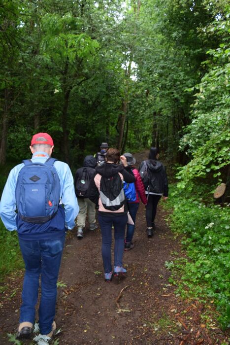 Passeggiata tra boschi e stagni del Parco Pineta di Appiano Gentile Passeggiata tra boschi e stagni del Parco Pineta di Appiano Gentile desktop picture