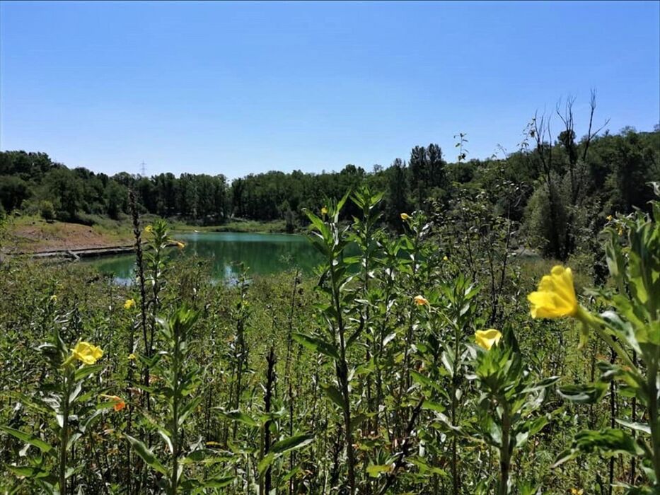 Passeggiata Esclusiva nell'Oasi Naturale del Parco degli Aironi Passeggiata Esclusiva nell'Oasi Naturale del Parco degli Aironi desktop picture