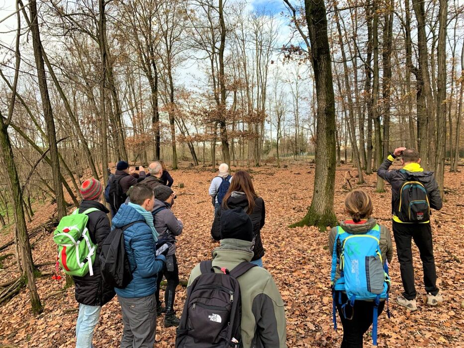 Passeggiata Esclusiva nell'Oasi Naturale del Parco degli Aironi Passeggiata Esclusiva nell'Oasi Naturale del Parco degli Aironi desktop picture