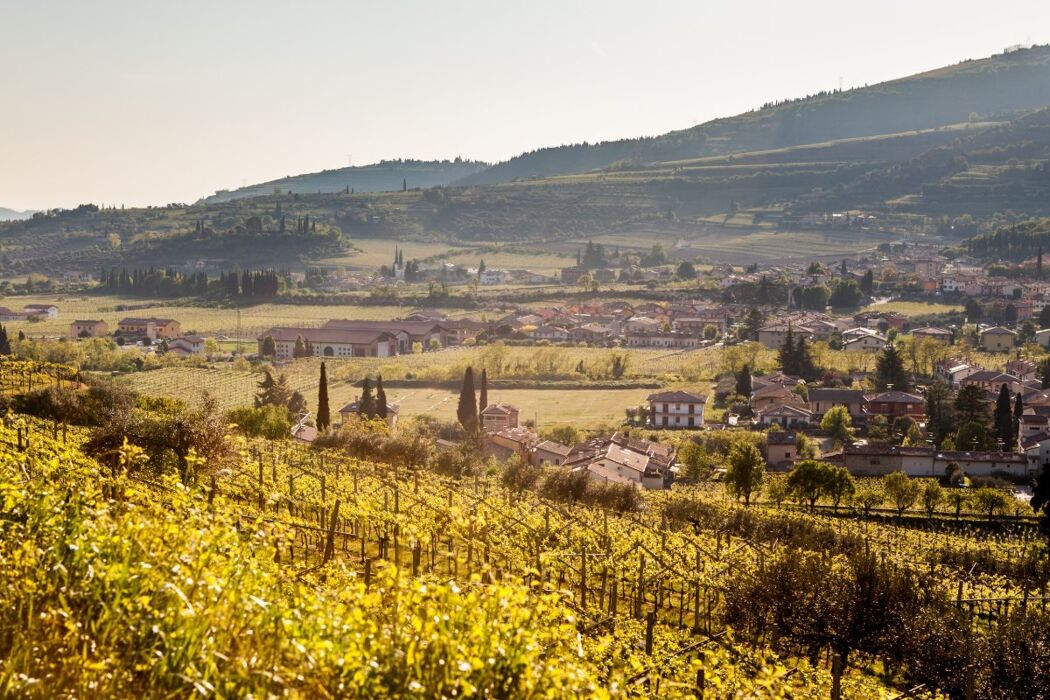 Passeggiata con Yoga a Marano di Valpolicella: Atmosfera Sospesa nel Tempo Passeggiata con Yoga a Marano di Valpolicella: Atmosfera Sospesa nel Tempo desktop picture