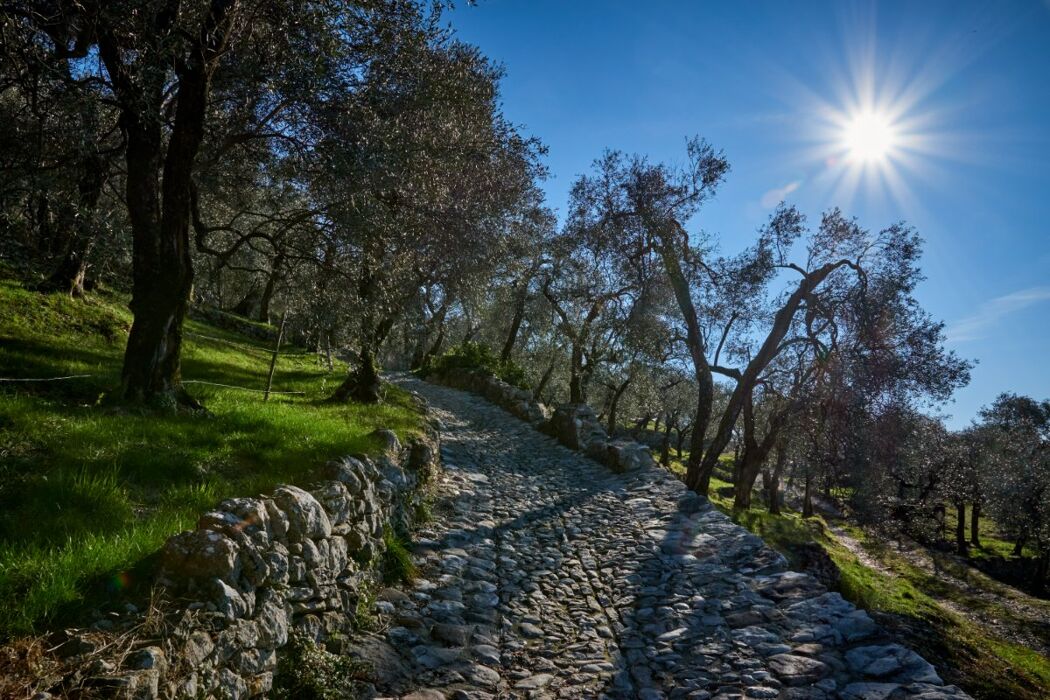 Passeggiata Meditativa Vista Lago alle Pendici del Baldo Passeggiata Meditativa Vista Lago alle Pendici del Baldo desktop picture