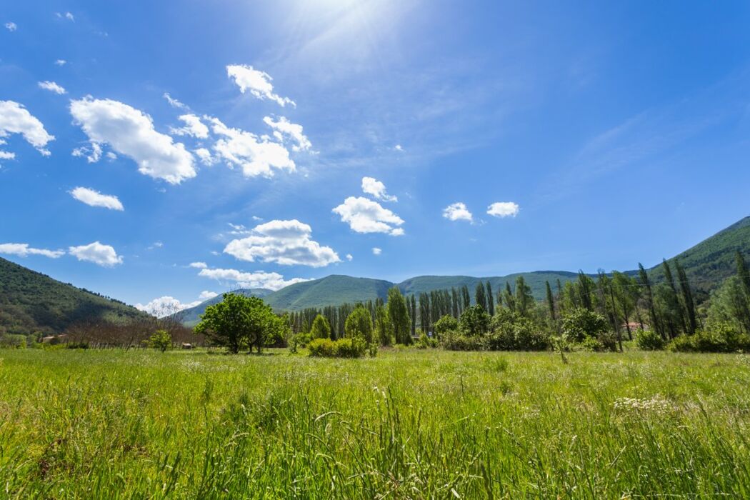Escursione al Monte Vermenone, Tra Immense Praterie e Faggete Secolari Escursione al Monte Vermenone, Tra Immense Praterie e Faggete Secolari desktop picture