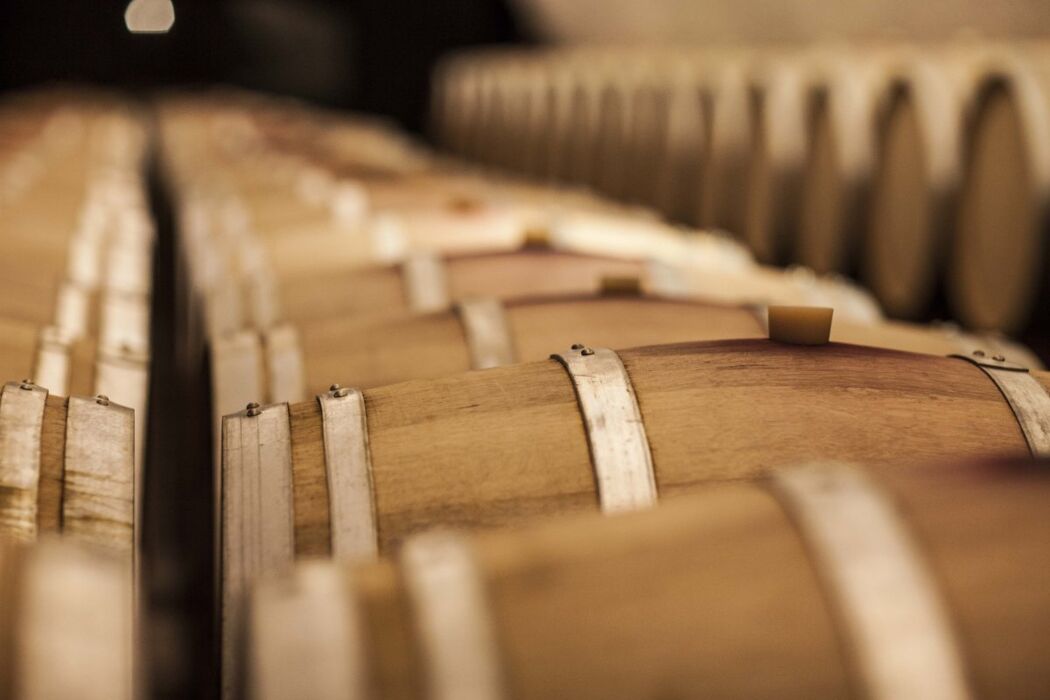 Due Giorni di Esperienze Memorabili: Tra Rafting, Vendemmia e Pigiatura dell’Uva Due Giorni di Esperienze Memorabili: Tra Rafting, Vendemmia e Pigiatura dell’Uva desktop picture